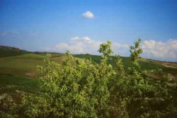 164_22.04.-Unterwegs