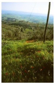 Am Monte Albano